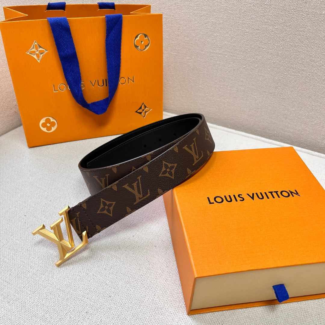 L-V  Belt Gold/Silver