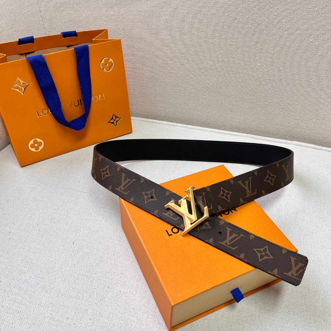 L-V  Belt Gold/Silver