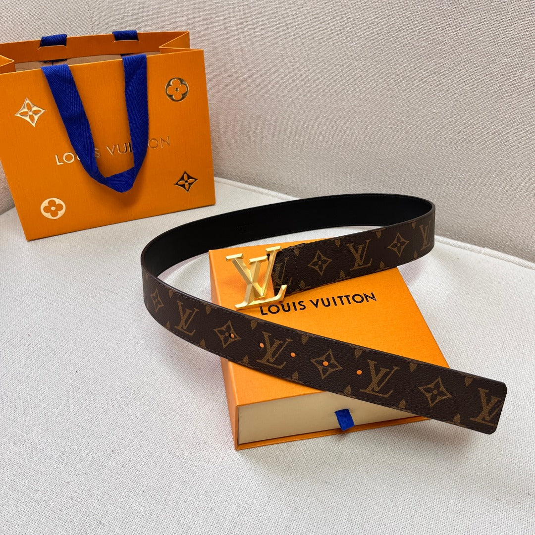 L-V  Belt Gold/Silver